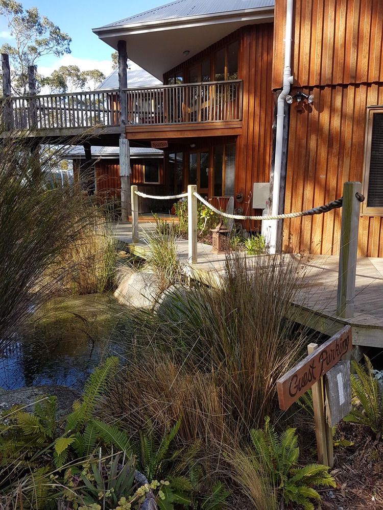 Bed In The Treetops B&B St Helens Esterno foto